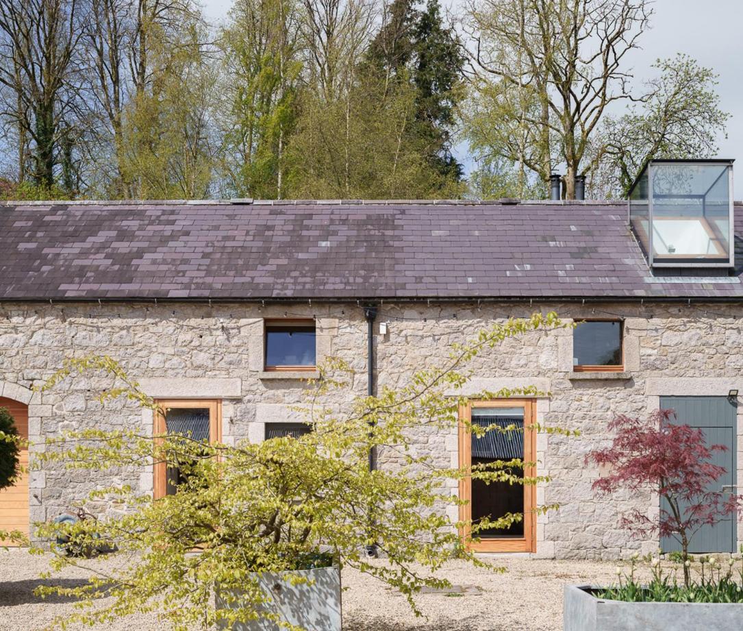 June Blake'S Garden Blessington Extérieur photo